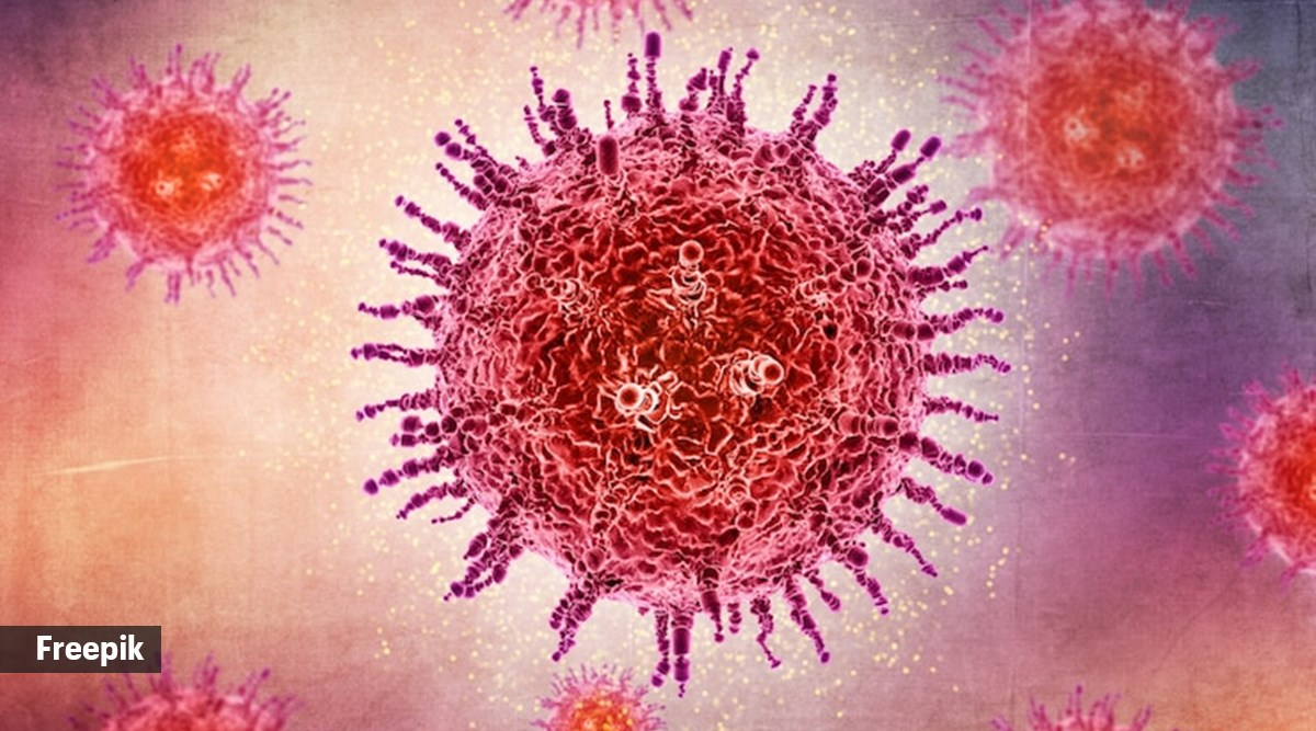 HMPV virus